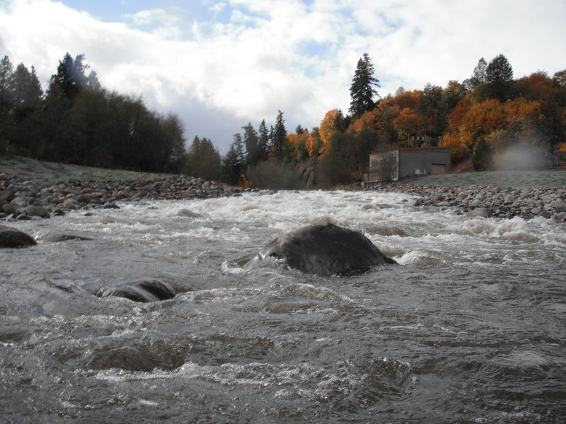 Looking up from the bottom of Dam Rapid