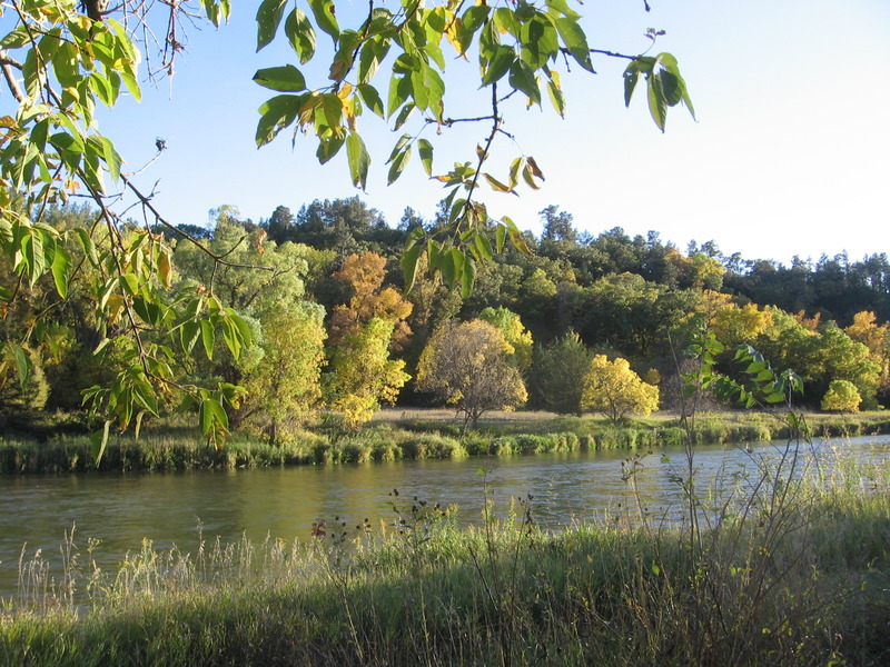 Fall at Smith River State Park