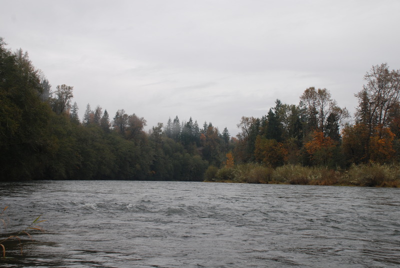 Cowlitz River Trip