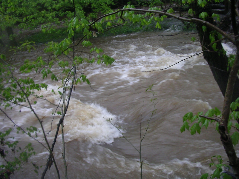 Surf Wave on The Cove Rapid
