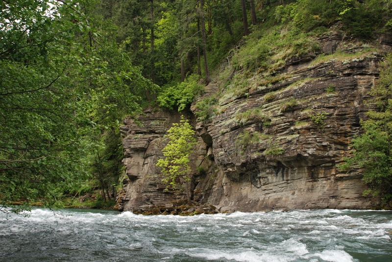 Rapid Below Elwha Dam