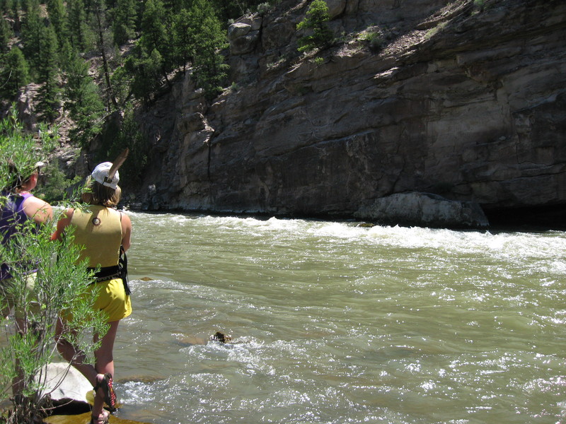 Aragon Rapid