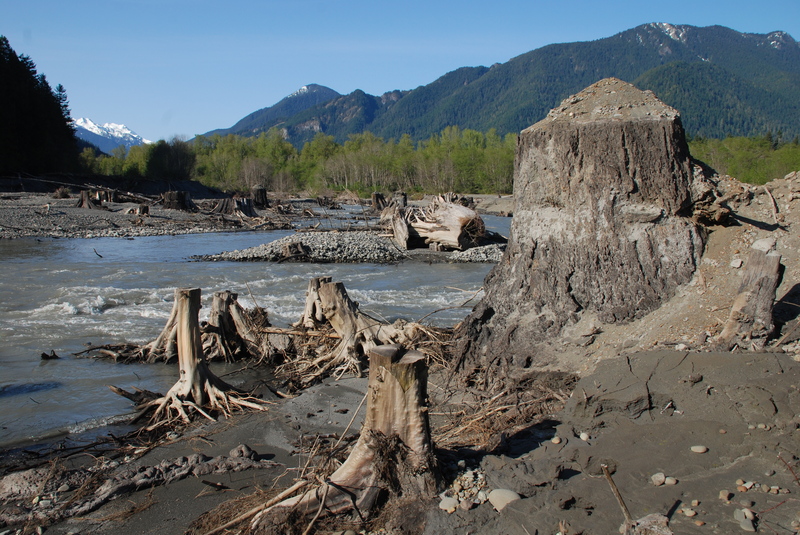 Elwha Cutting Through Sediments