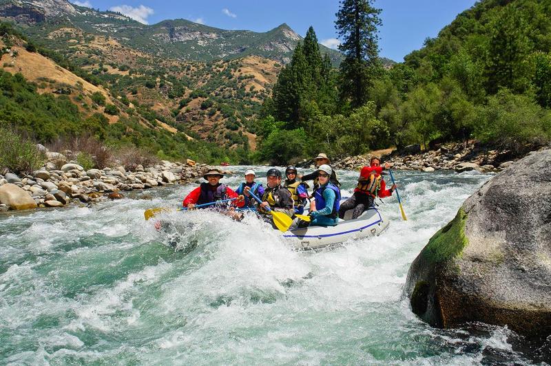 Wild Wolf Chute