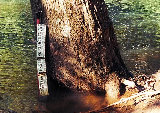 (RM) South Sauty Paddler's Gage