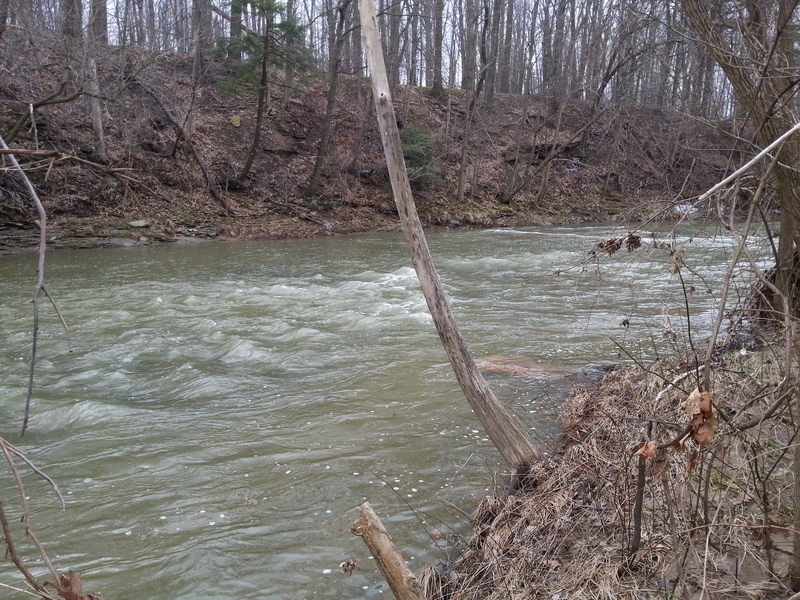 scouting the river from shore #4