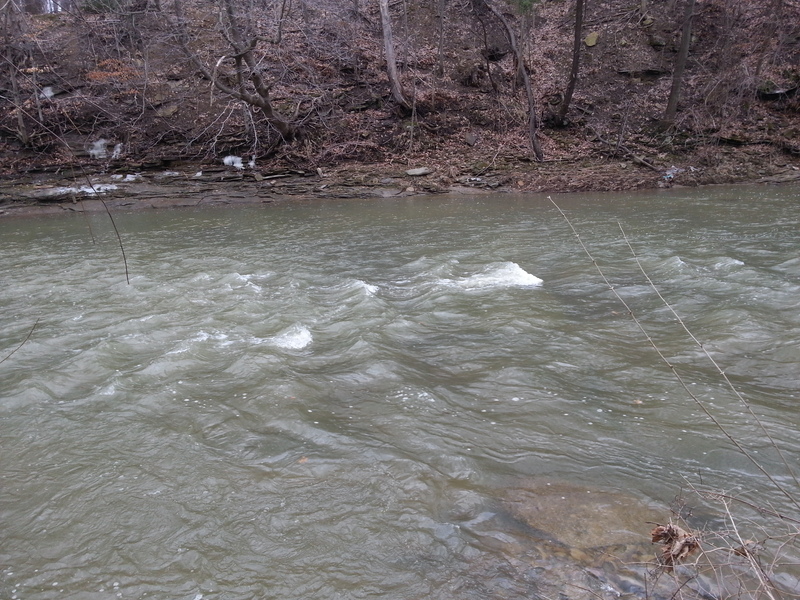 scouting the river from shore #5