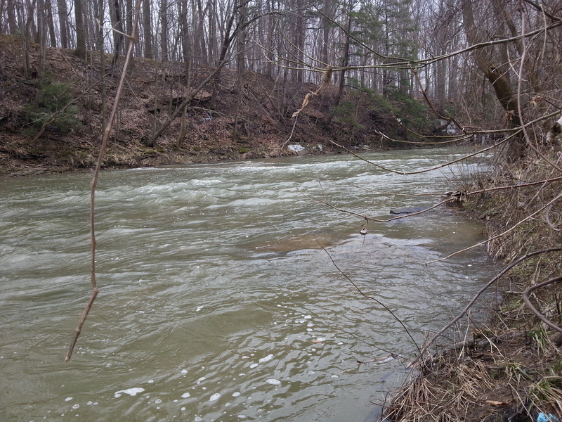 scouting the river from shore #6