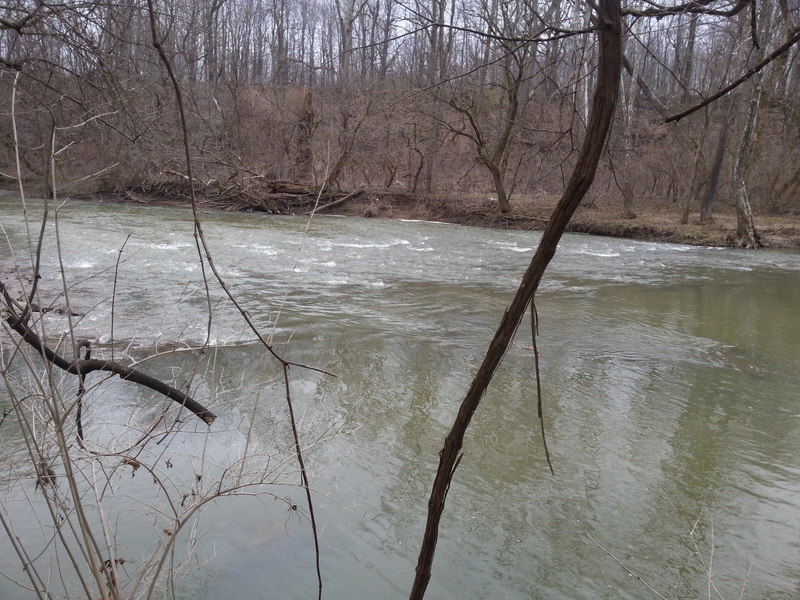 scouting the river from shore #6