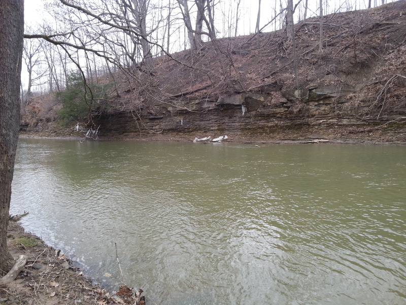 scouting the river from shore #7