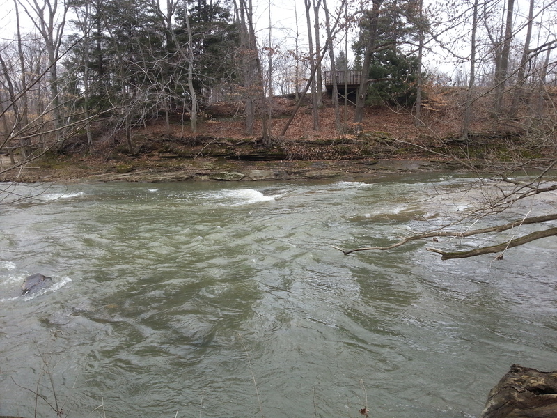 scouting the river from shore #9