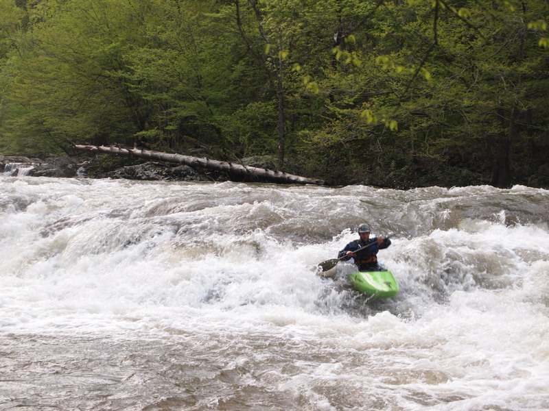Middle Line at Suddy Hole 1,000 CFS