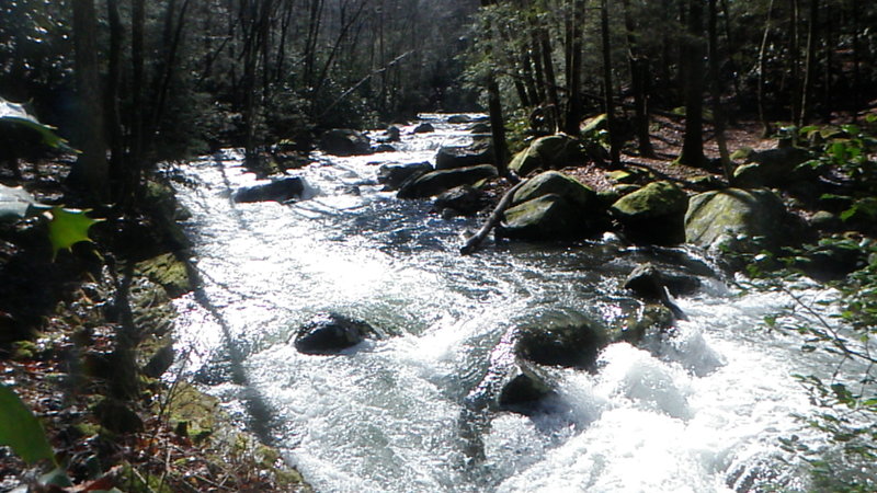 Typical scene