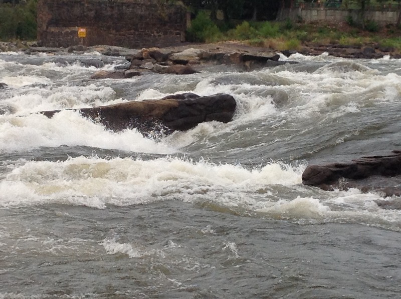 Wave Shaper Rapid