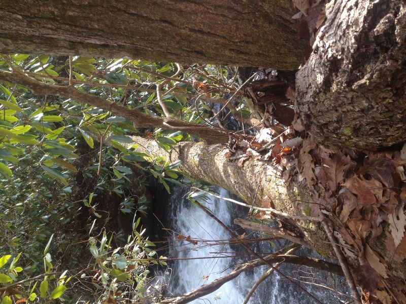 log crossing above entry to last rapid