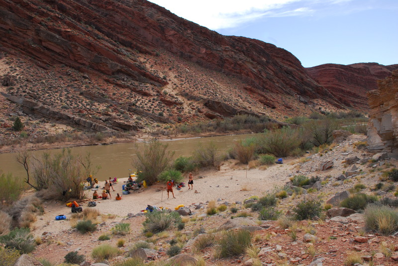 Fossil Camp