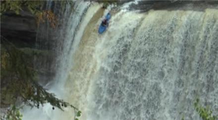 T falls Fox News picture