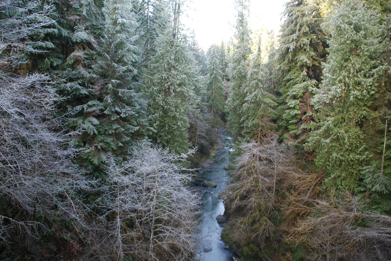 View from 2900-070 Bridge