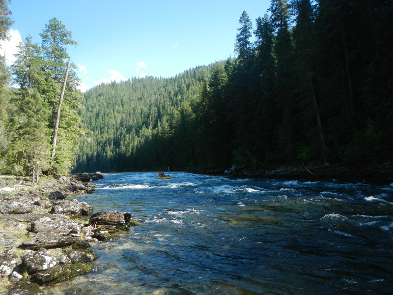 Rock Island Rapid