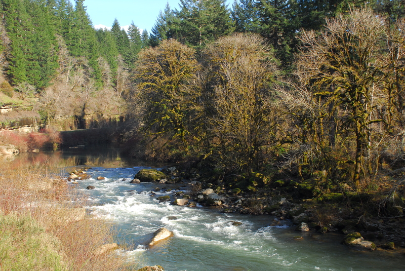 Siuslaw