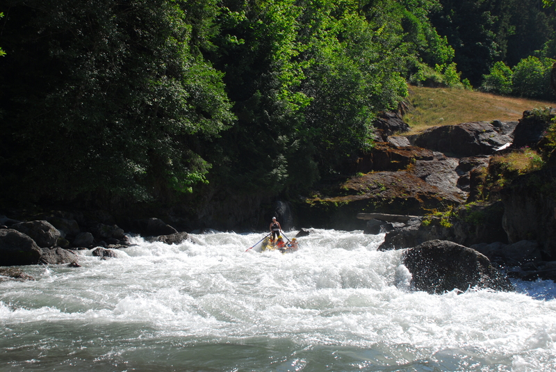Elwha, That Dam Rapid