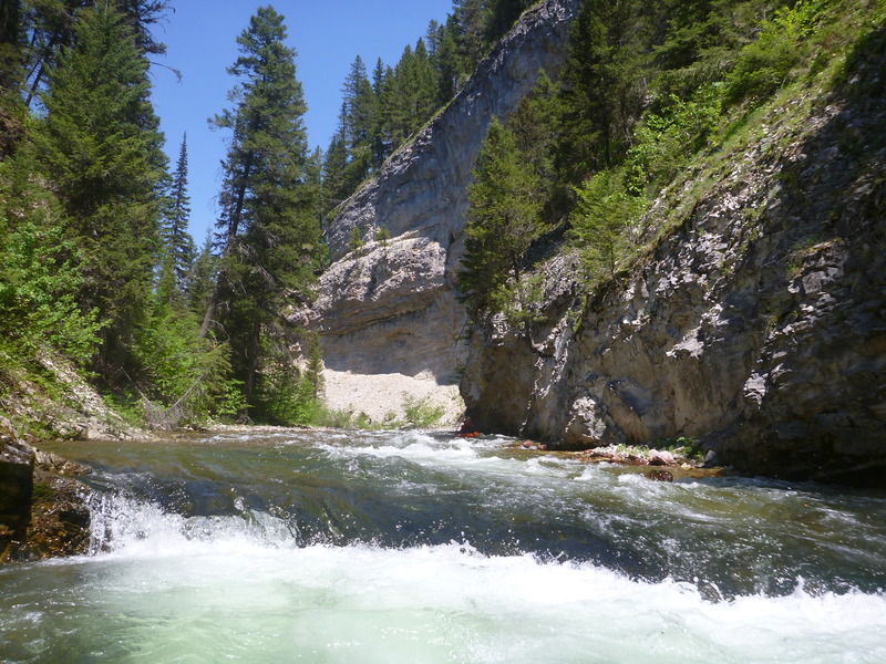 Arch Portage