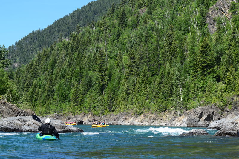 Typical MF Flathead Rapid