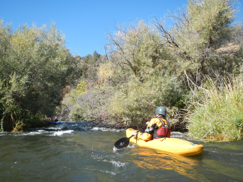 Bushy Chutes