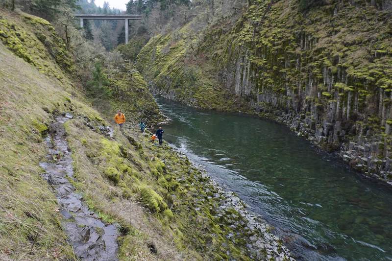 Punchbowl Falls Access
