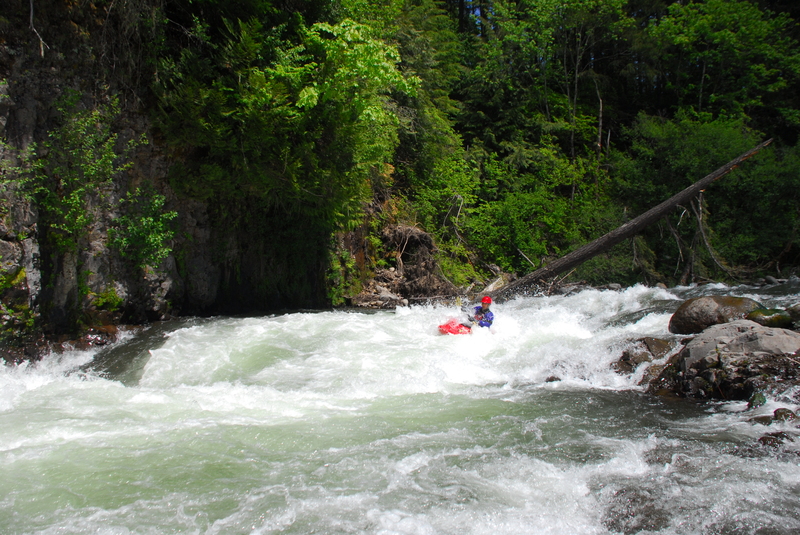 Running the Confluence Rapid