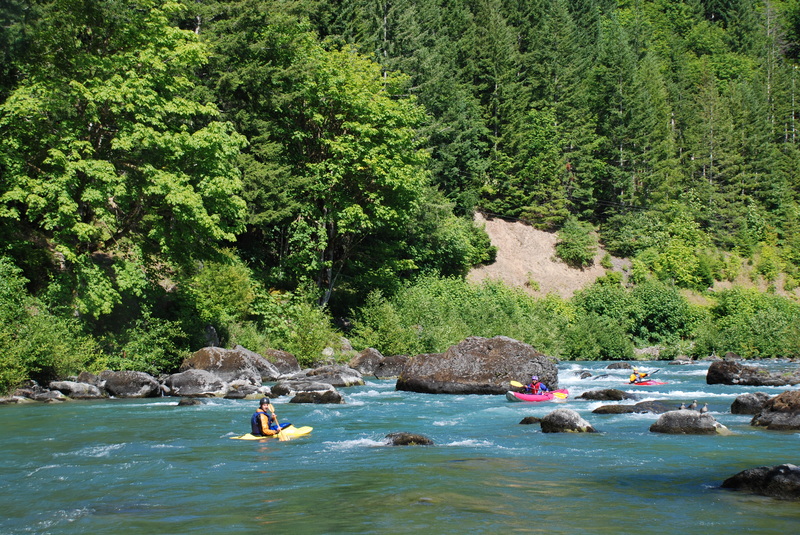 Fisherman's Bend