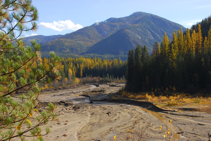 Dam Removal Site Tour