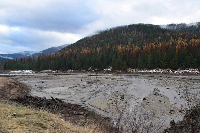 Sullivan Creek Mill Pond Dam Removal Complete