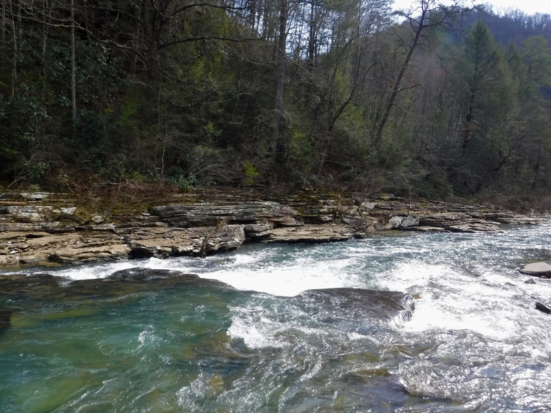 The Diving Board