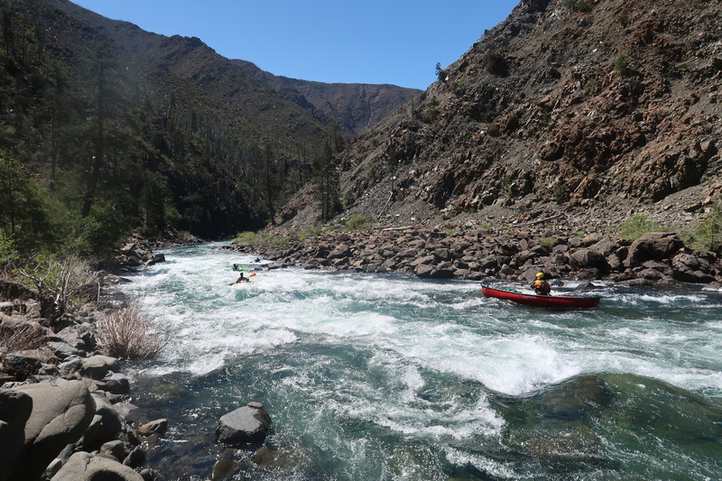 North Fork Smith rapid