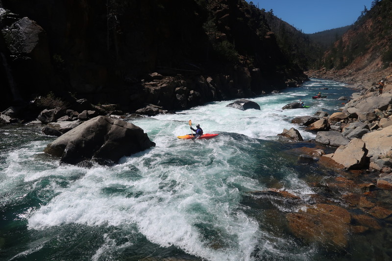 Scout Rapid