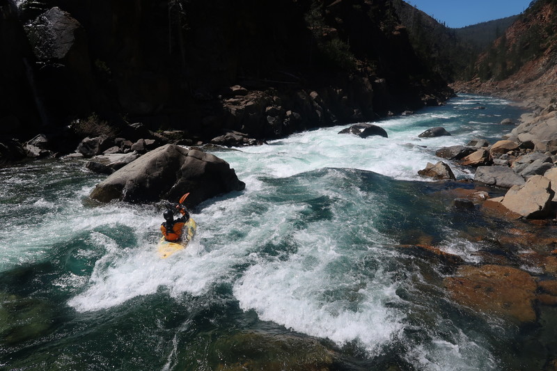 Scout Rapid