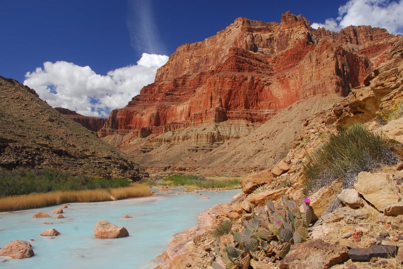 Mouth of the Little Colorado