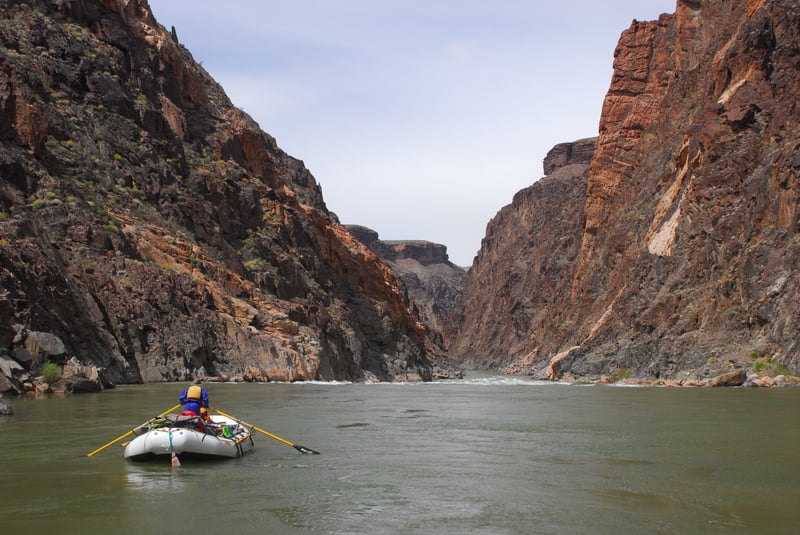 Grapevine Rapid (7)