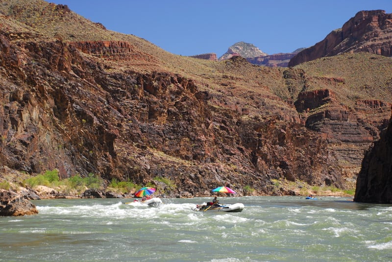 Shinumo Rapid (4)