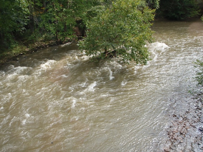 Looking upstream from the tram
