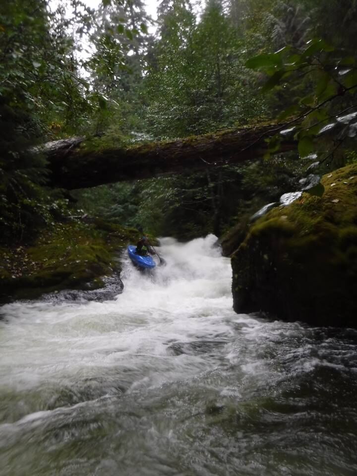  on Champion Creek @Gorge 1 mile above Brice Creek to Brice Creek