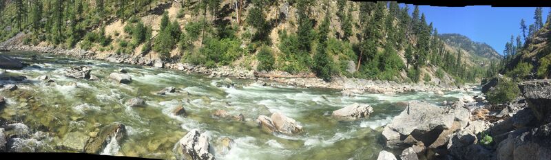 Surprise Rapid