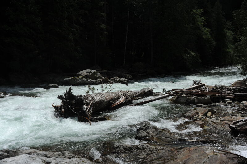 Large Log in the Landing Zone of Rooster Tail