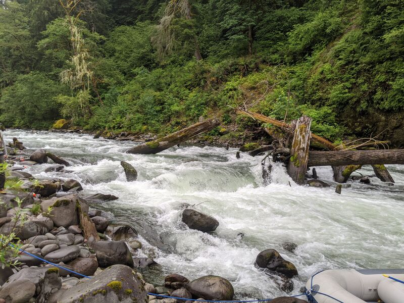'64 Log Jam Rapid