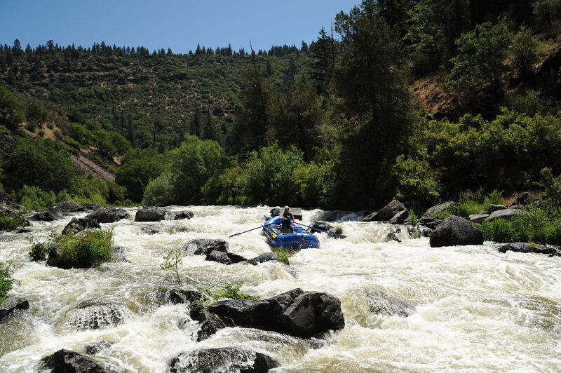 Rapid in Big Bend