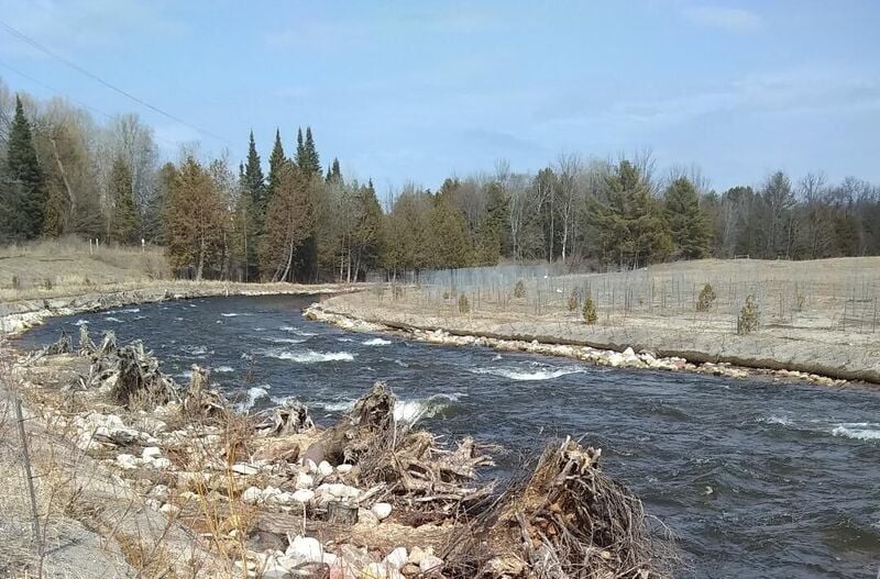 Sabin Dam Rapid