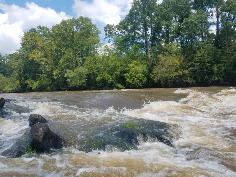 Stewart's Falls 4.3 Ft