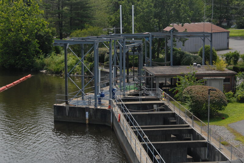 Fish Ladder at Turners Falls Dam
