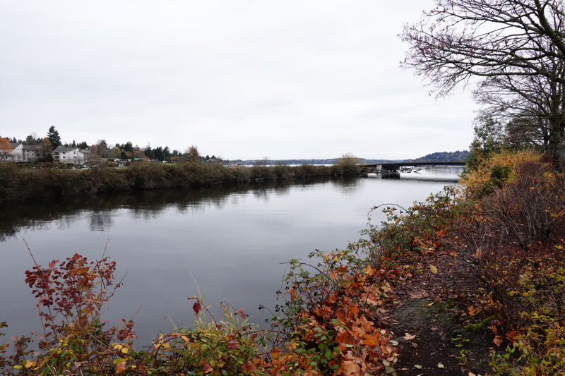 Cedar River Confluence With Lake Washington